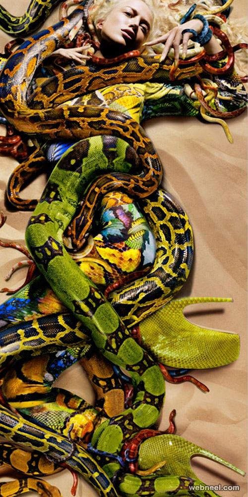 snake fashion photography