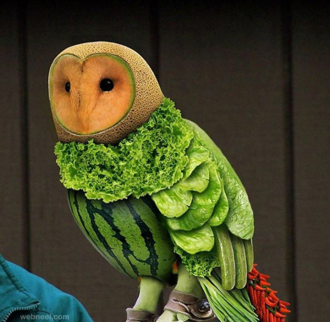 vegetable art owl