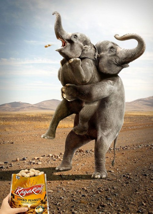 elephants photo collage jumpo peanut