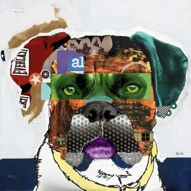 rocky boxer dog collage