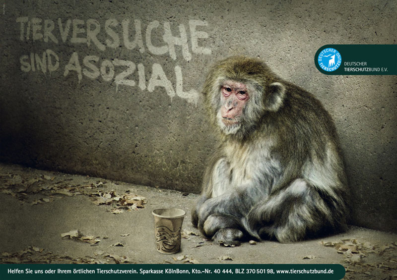 monkey advertisement