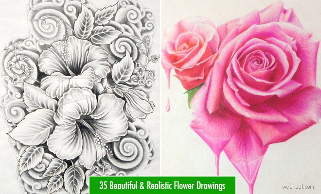 Beautiful flower drawing monochrome vector illustration design • wall  stickers advertising, gift, florist | myloview.com