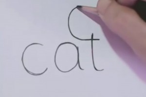 how to turn words cat into wordtoons by kasikorn nalatarm