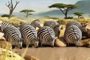 if animals would eat at mcdonalds - funny 3d animated short film