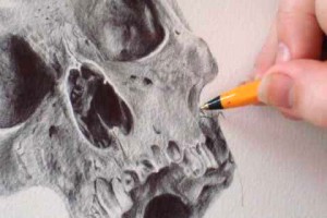 sugar skull - stop motion drawing