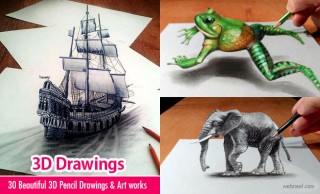 3D Drawings