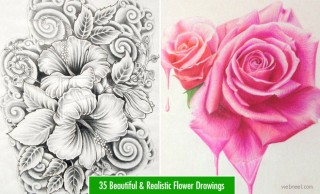 Flower Drawings