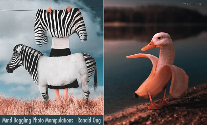 Oreo Bicsuits or Zebra Body - Mind Boggling Photo Manipulation works By Ronald Ong