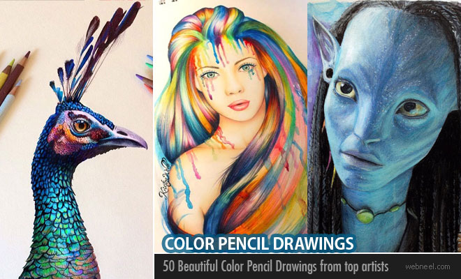 Color Pencil Drawing Tips and Tricks for beginners