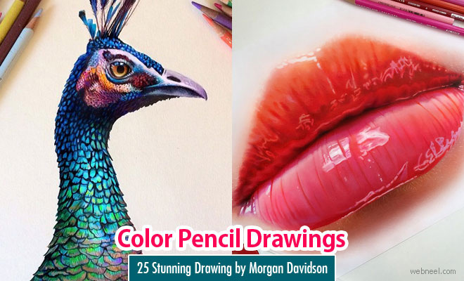 25 Stunning and Realistic Color Pencil Drawings by Morgan Davidson