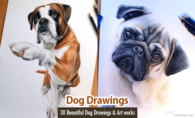 15 Realistic Dog Drawings and artworks from famous artists
