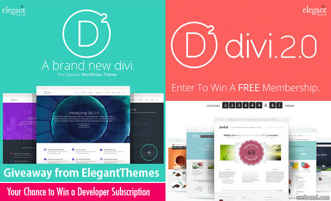 Your Chance to Win a Developer Subscription Giveaway from ElegantThemes.com