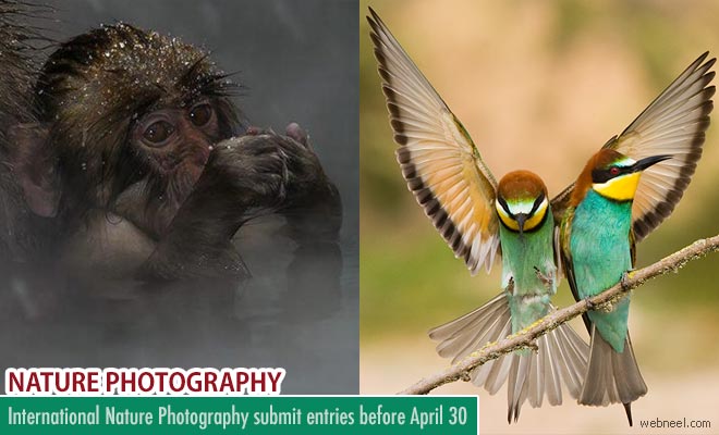 International Nature Photography Contest accepting entries till April 30