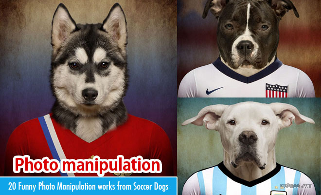 20 Funny Photo Manipulation works from Soccer Nations Dogs
