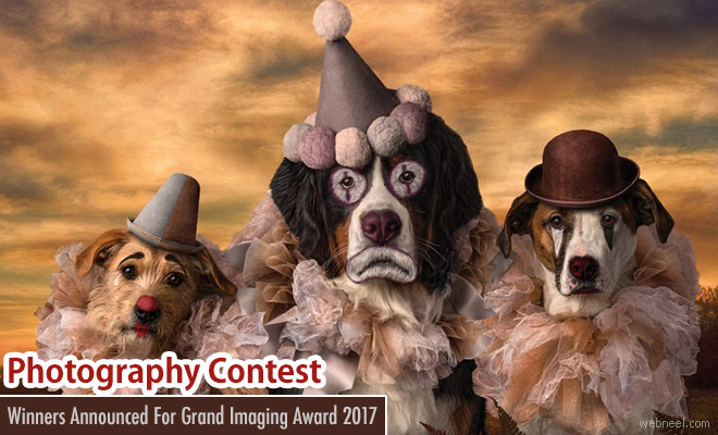 Award Winning Photos from Grand Imaging Photography Contest 2017