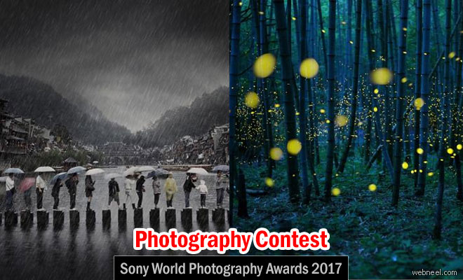 Sony World Photography Awards 2017 - Photography Contest