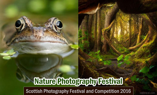 Scottish Nature Photography Festival and Competition 2016
