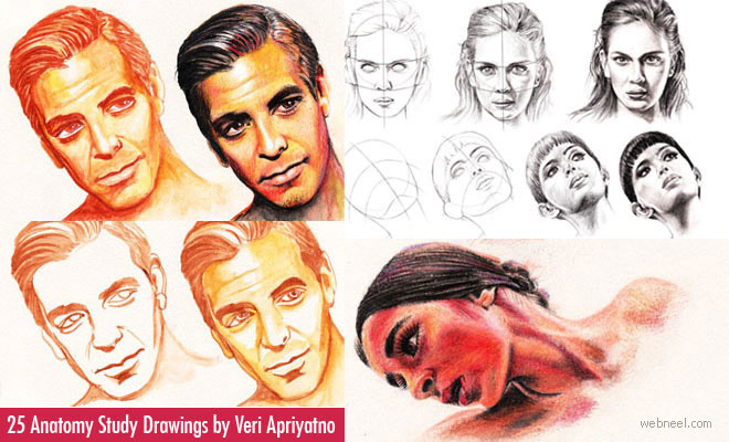 25 Anatomy Study Drawings by Veri Apriyatno - Tutorial for Beginners