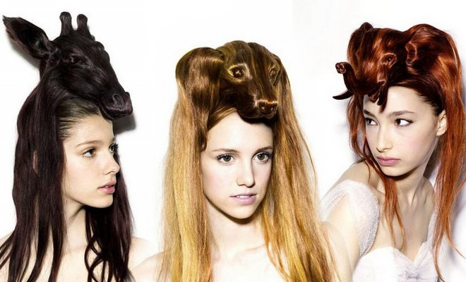 Creative Animal Hair Style Collections1
