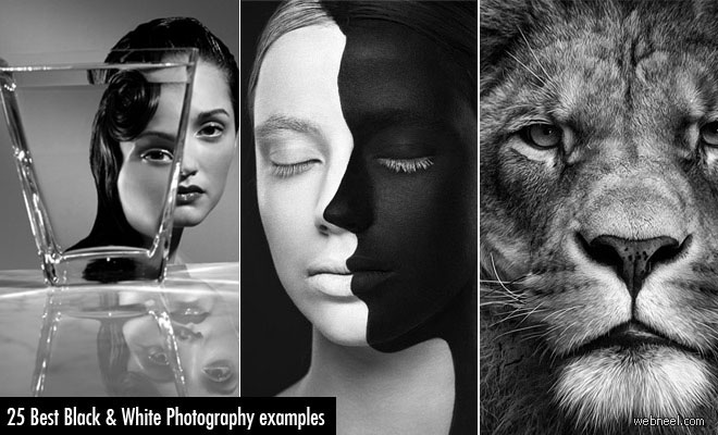 30 Mind-Blowing Black and White Photography examples - part 2