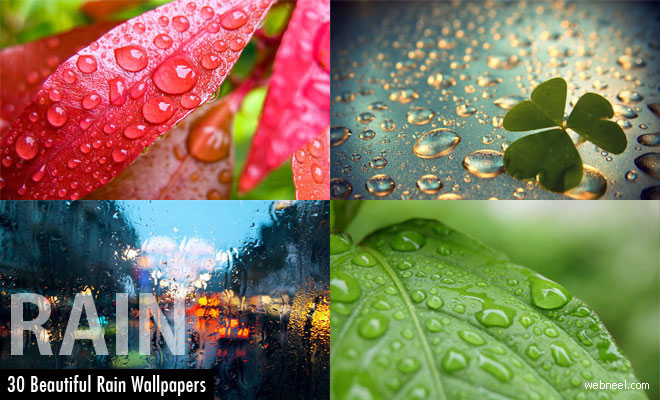 50 Beautiful Rain Wallpapers for your desktop - Part 2