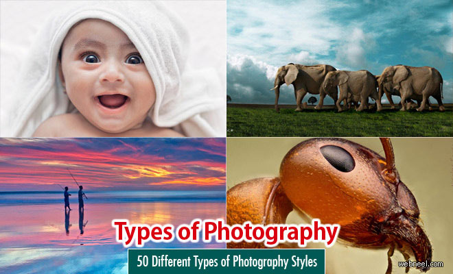 https://webneel.com/sites/default/files/images/blog/types-of-photography-1.jpg