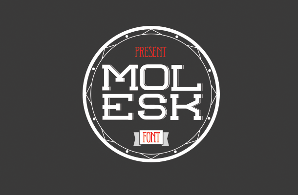 Molesk is a slab serif with little shadows at the right ( 50 Free Professional Fonts for Designers )