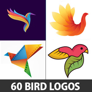 Creative Logo Designs  Logo design creative, Bird logo design, Unique logo  design
