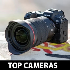 10 Top-rated cameras for Wildlife photographers - Camera Review