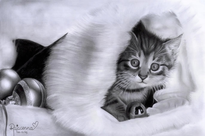 christmas kitty  by Rajacenna