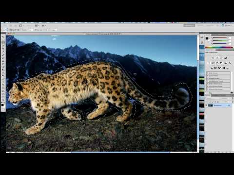 Content Aware Tips and Tricks For Perfection - Photoshop