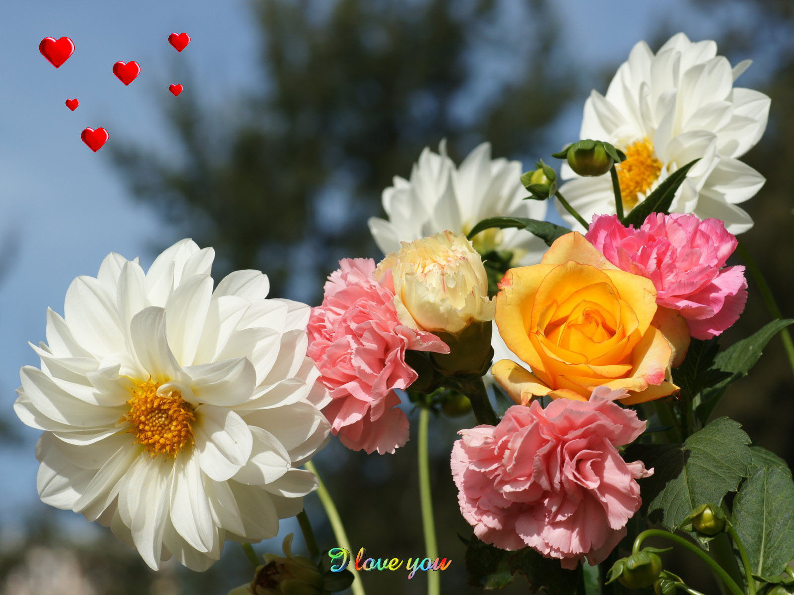 48 Beautiful Flowers Wallpapers Free Download  WallpaperSafari