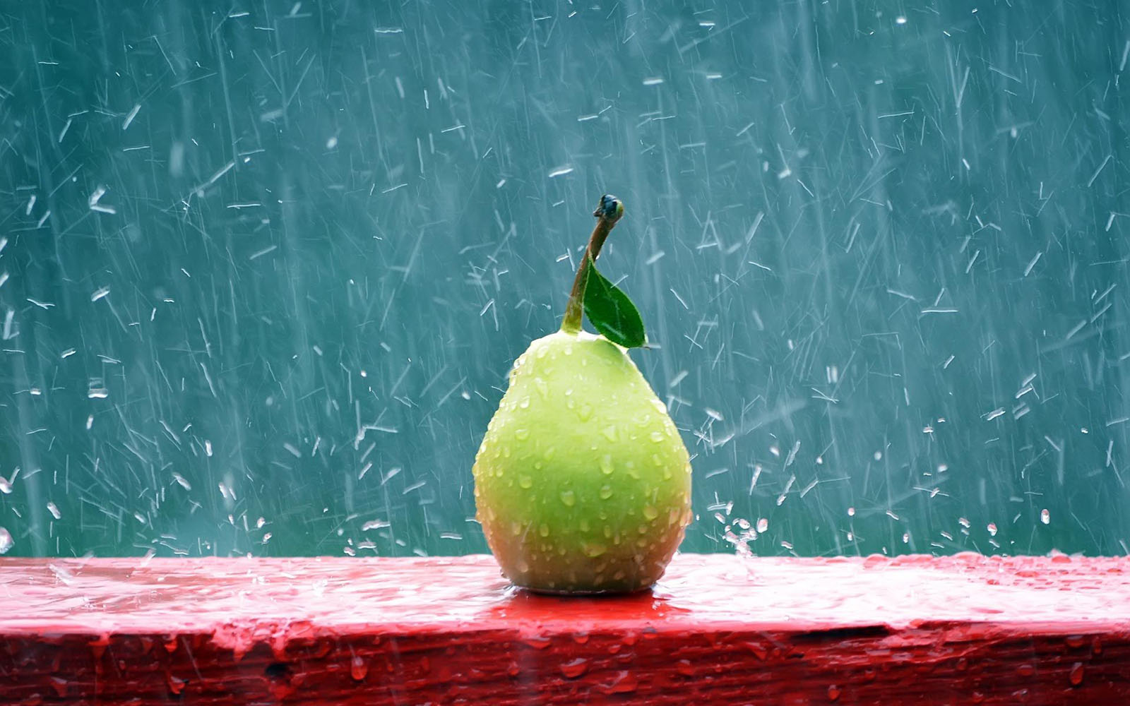 pear rain wallpaper - HD Wallpaper