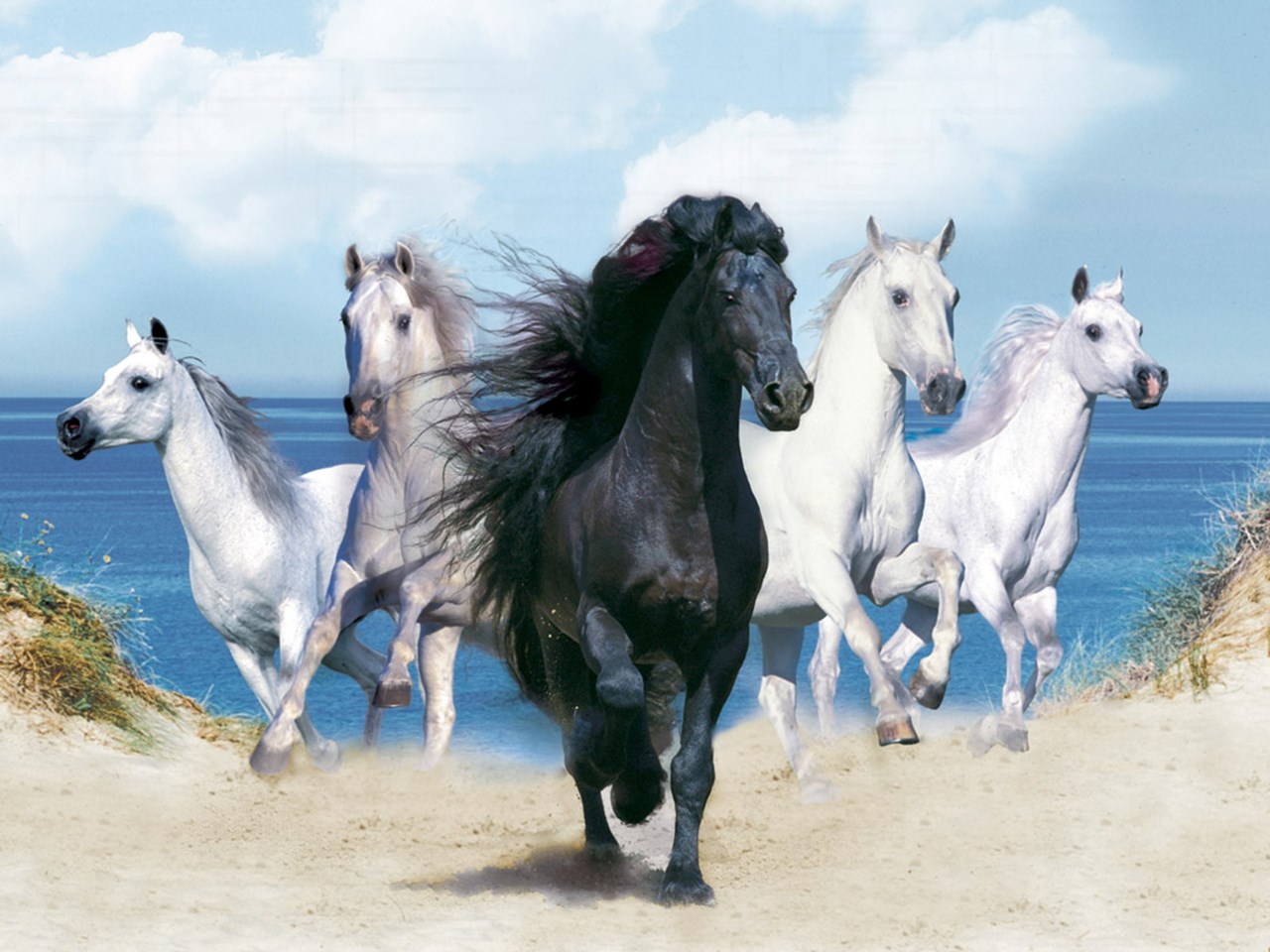 animals wallpapers fantasy beautiful horses