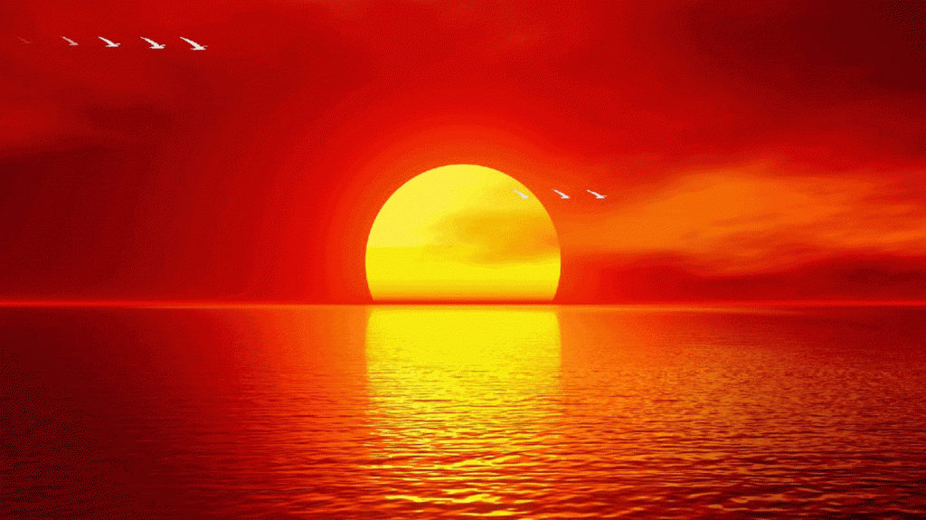 beautiful ocean sunset wallpaper - 1024