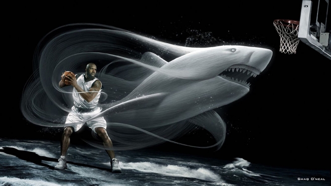 sharks basketball hd wallpaper