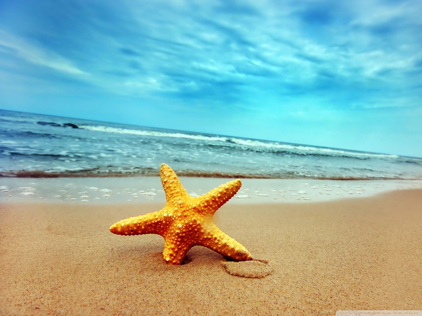 40 Beautiful Beach Wallpapers for your Desktop Mobile and Tablet  HD