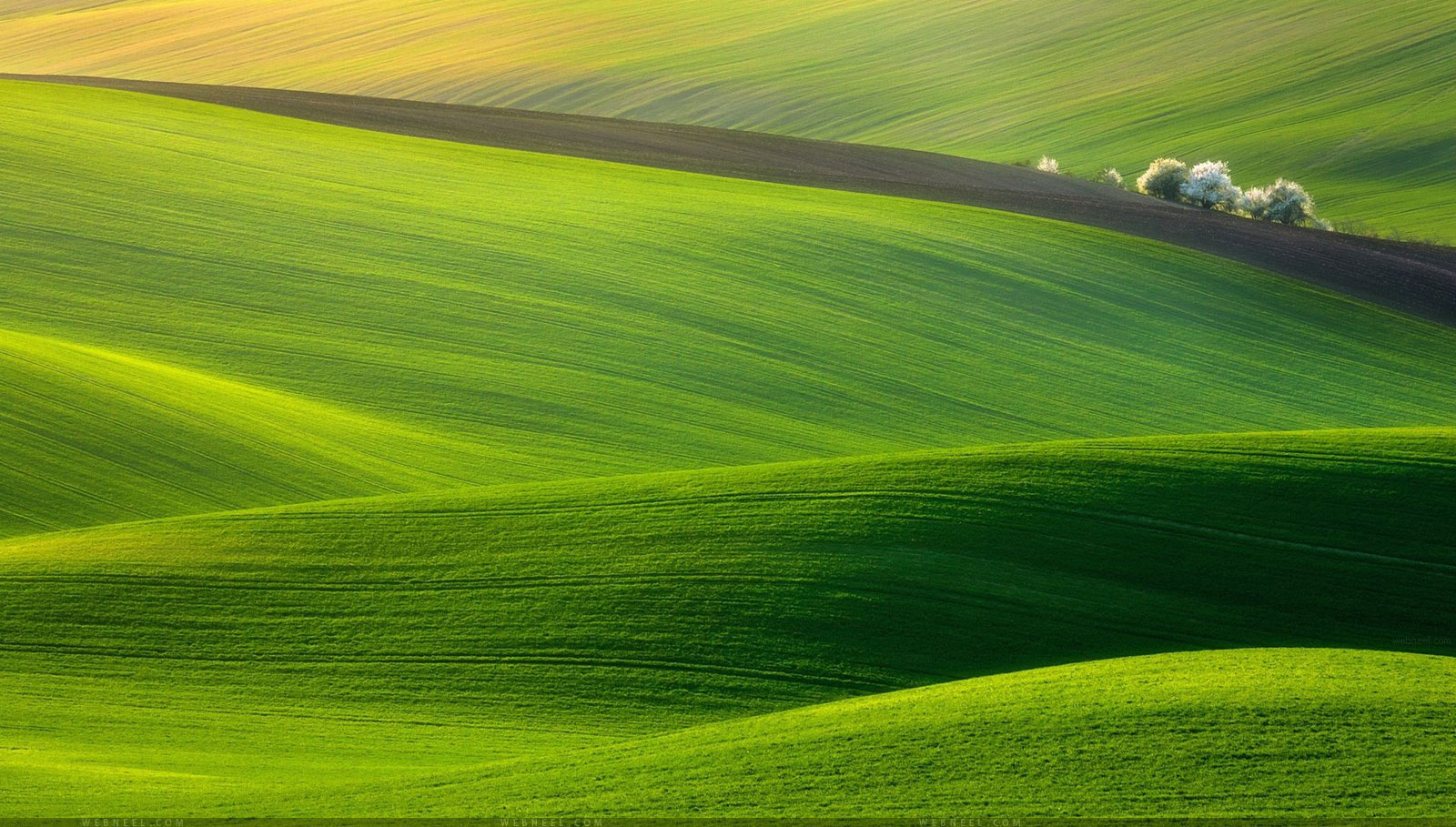 Windows 11 Wallpaper 4K, Sunset, Landscape, Scenery, Stock, #5670