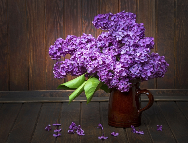 purple wallpaper vase