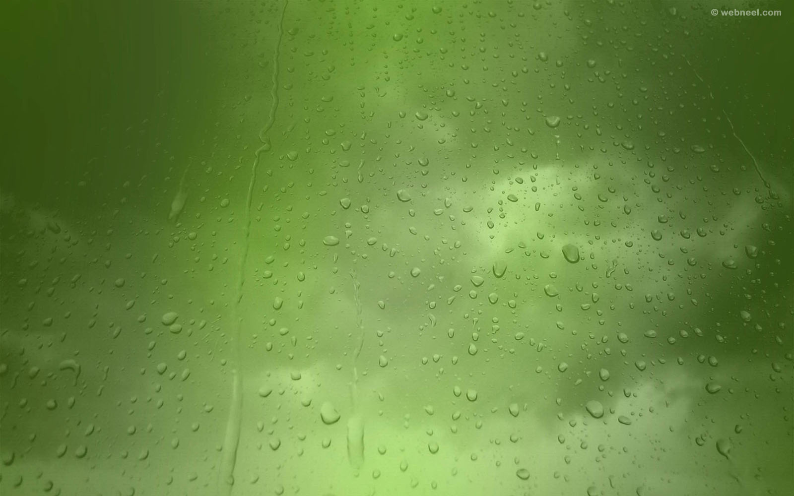 rain wallpaper green
