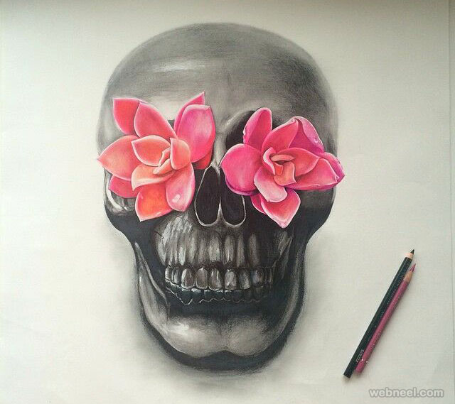 20 skull color pencil drawing by jennifer de boer