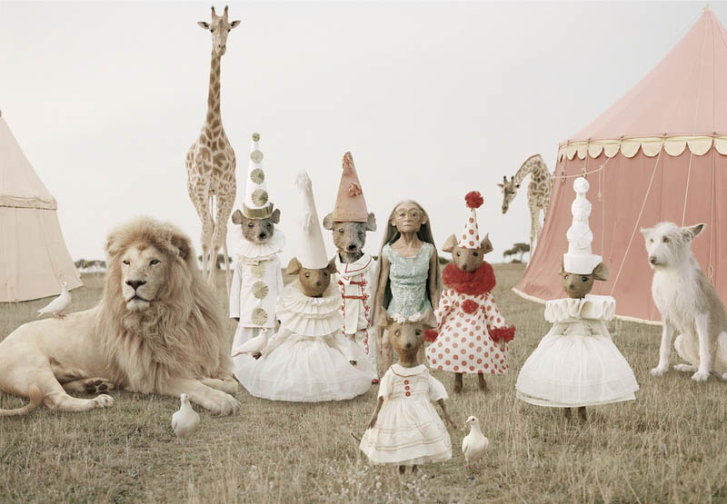 2 circus photography by helena blomqvist