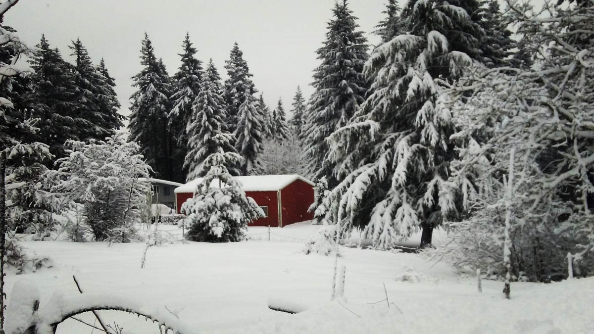 2 red cabin photography by correna smith