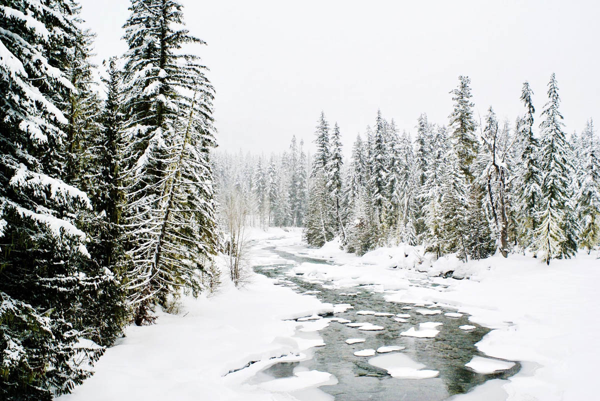 3 winter solitude photography by mueller