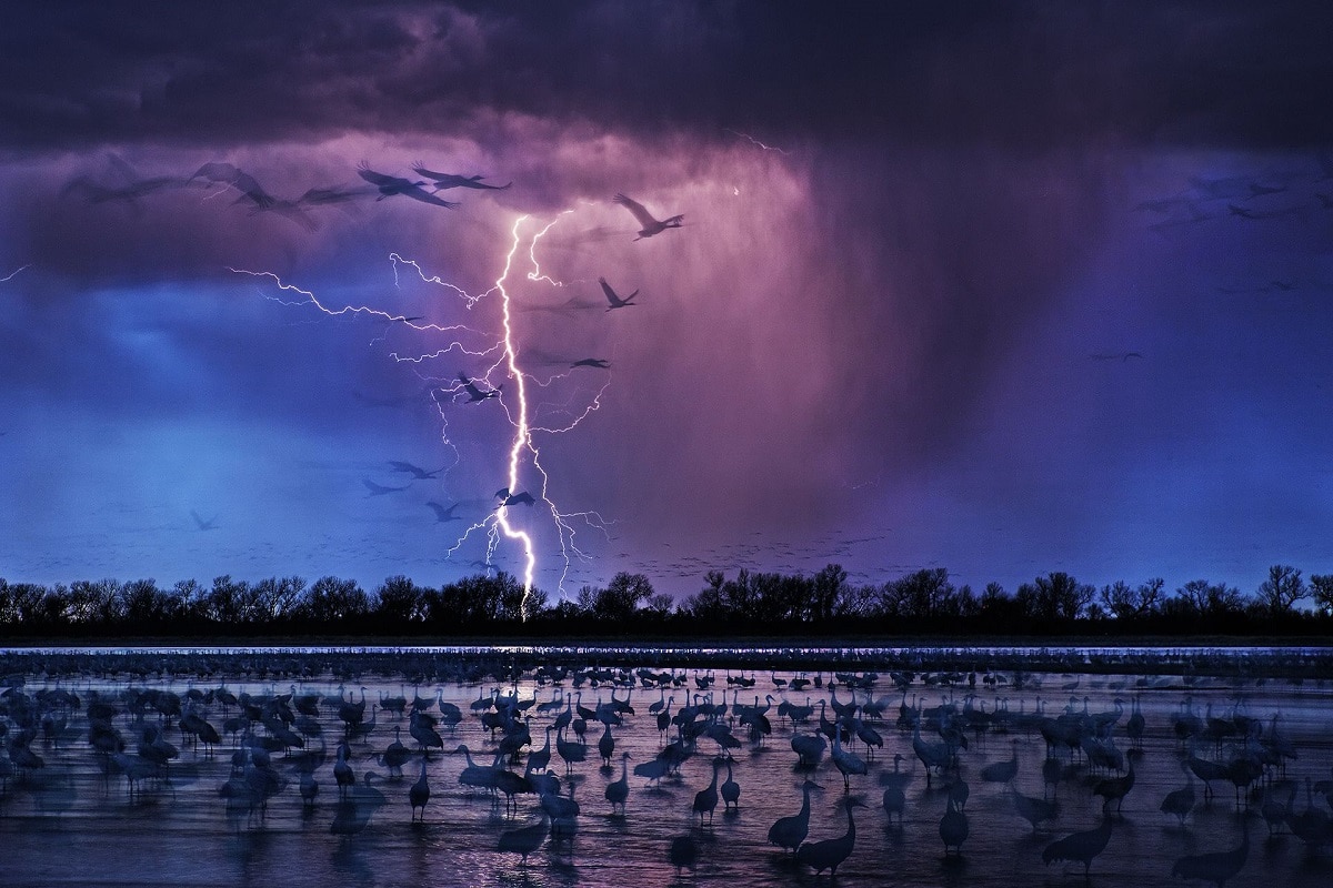 2017 siena international photo awards photography by randy olson