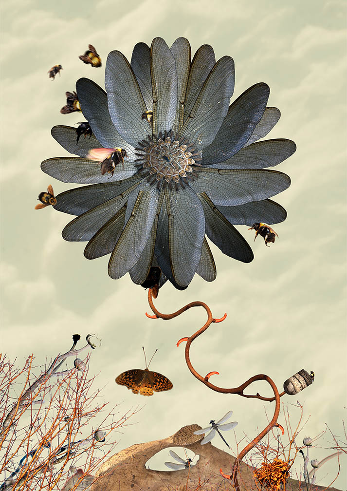 1 leaves petals art competition by brian