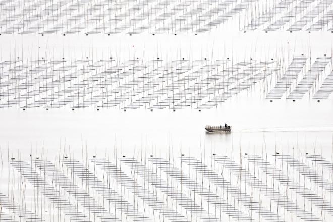 coastal geometry award winning photography
