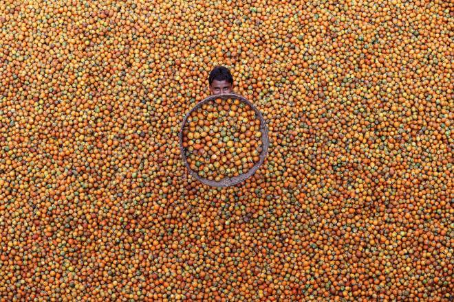 2017 siena international photo awards