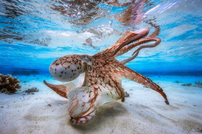 2017 siena international photo awards photography