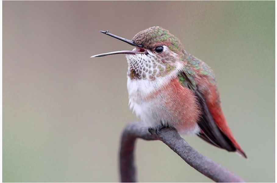 5 travel photographer of the year by maddie